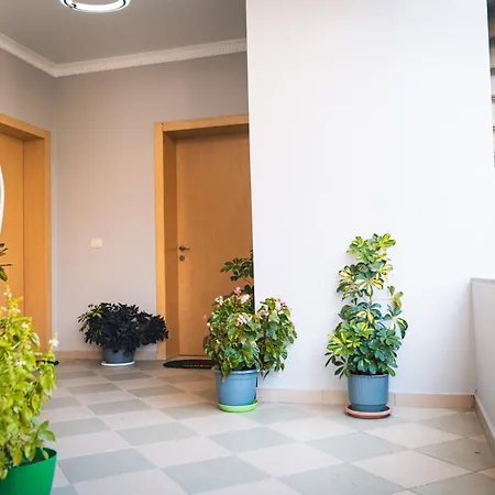 Mandi * Тирана