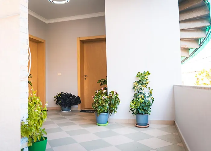 Mandi * טיראנה